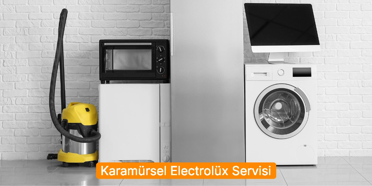 Karamürsel Electrolüx Servisi