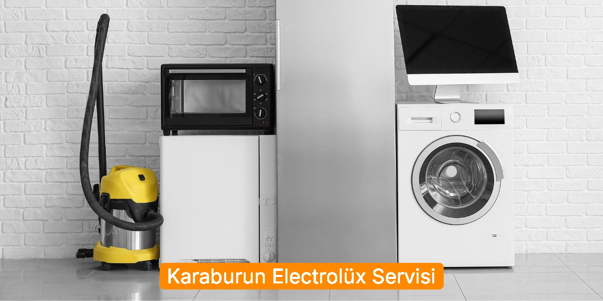 Karaburun Electrolüx Servisi