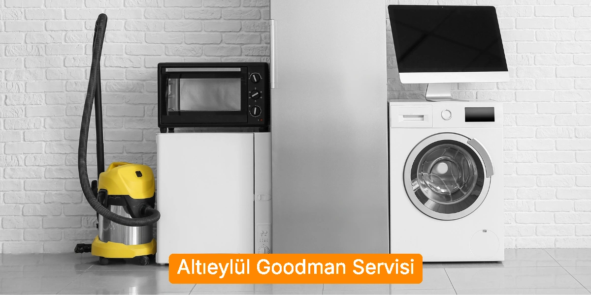 Altıeylül Goodman Servisi