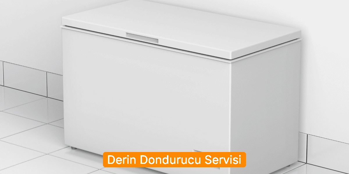 Derin Dondurucu Servisi