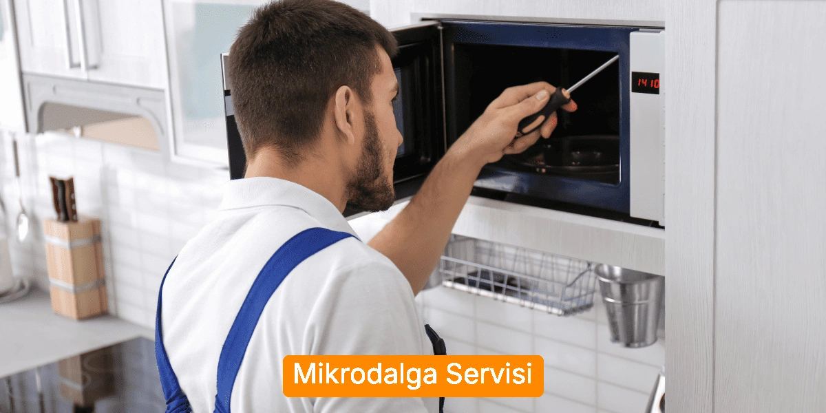 Mikrodalga Servisi
